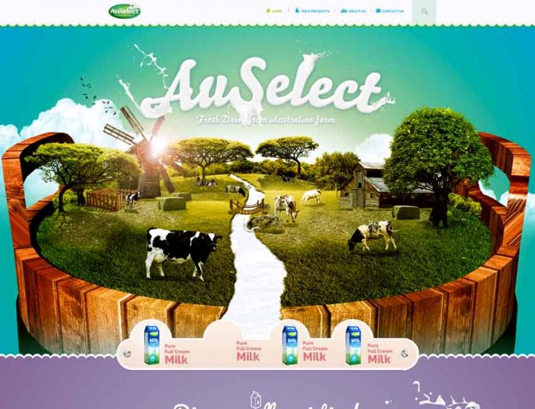 Auselect Web Design